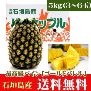 最高級パイン！ゴールドバレルパイン ５ｋｇ ３〜６玉　石垣島産　送料無料｜果物と島野菜の店-石垣島農家隊