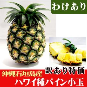 訳ありハワイ種パイン小玉（約600〜800ｇ）　