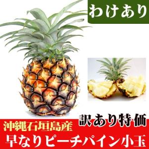 訳あり早なりピーチパイン（約４００〜５００ｇ）　