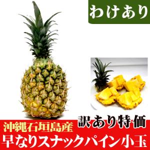 訳あり早なりスナックパイン小玉　（約４００〜５００ｇ）　特価