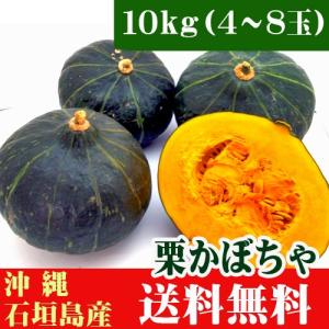 ティーダの栗かぼちゃ　１０ｋｇ(4〜8玉）石垣島産