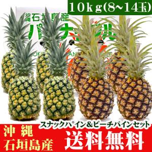 石垣島パインセット　ピーチパイン・スナックパイン 10kg（8〜14玉）｜果物と島野菜の店-石垣島農家隊