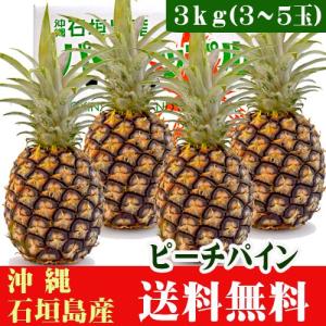 石垣島ピーチパイン 3kg 3〜5玉 送料無料...