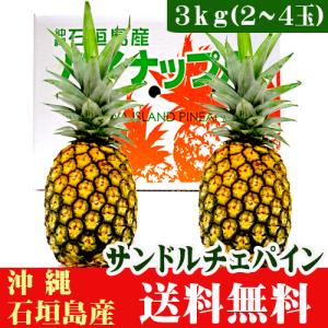 石垣島ゴールドパイン10kg（6〜11玉） 送料無料 : 果物と島野菜