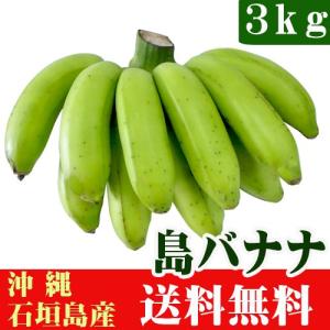 島バナナ3ｋｇ（21〜48本）沖縄石垣島産　