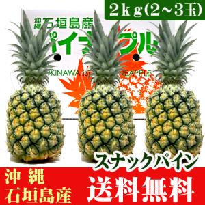 スナックパイン２ｋｇ（２〜３玉） 沖縄県石垣島産　