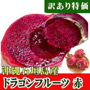 石垣島産 訳ありドラゴンフルーツ 赤 500ｇ(１〜4玉)
