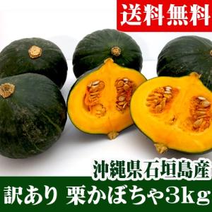 訳あり 栗かぼちゃ 3ｋｇ(1〜7玉）石垣島産　