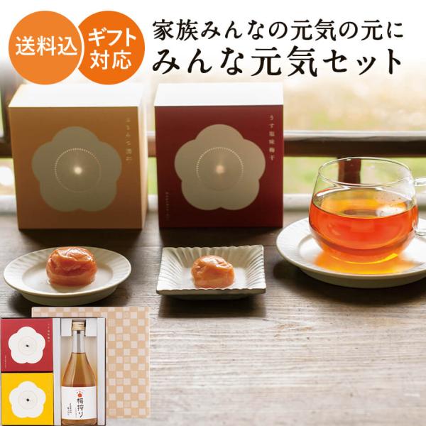 ギフトセット 送料無料 みんな元気セット (梅干し 国産 南高梅 高級 贈答品 お中元 お歳暮 ギフ...
