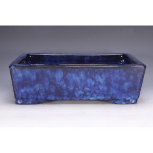 盆栽小鉢：青香(せいか)（長方鉢 12.2cm）* 資材 : 遊恵盆栽 Yahoo!店