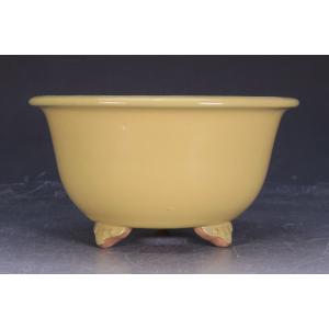 盆栽小鉢：美芸（常滑）六角鬼面足面付鉢 21.5cm*資材 : 遊恵盆栽