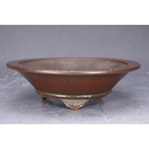 盆栽小鉢：美芸（常滑）丸エン付三面龍鉢 11.4cm*資材 : 遊恵