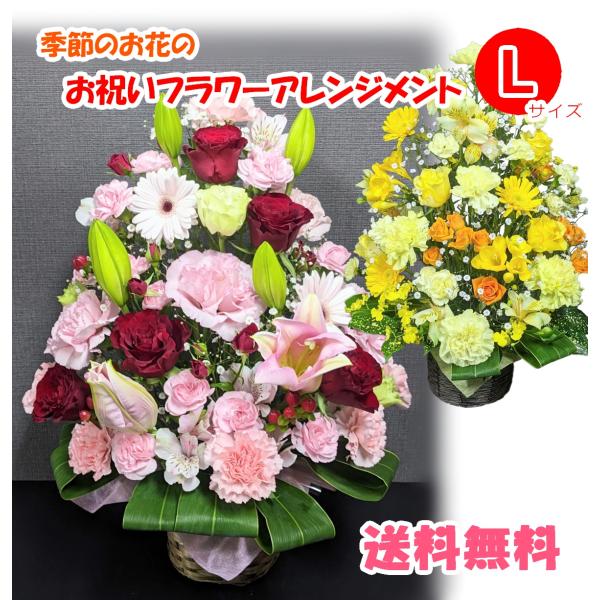 季節のお花の お祝い 生花 アレンジメント　Lサイズ　