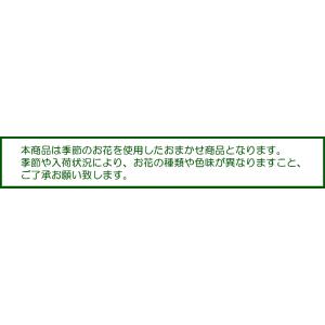 【日時指定可】お供え アレンジメント LLサイ...の詳細画像1