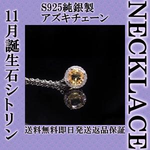 SWAROVSKI（スワロフスキー） バースストーン Birthstone 誕生石 1月