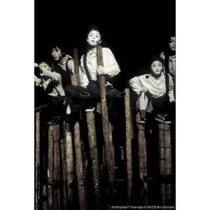 DVD「王國」の詳細画像3