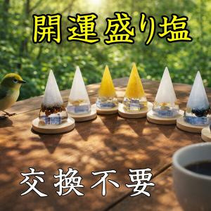 盛り塩 お清め レジン 交換不要 風水 金運 癒し 整える ルチル シトリン モリオン タイガーアイ　石の蔵