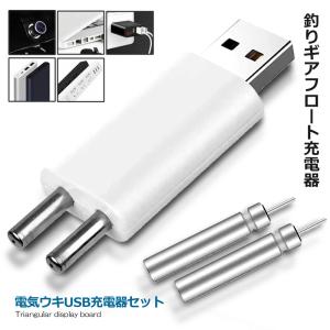 電気ウキUSB充電器セット ギアフロート 発光電子フロート急速充電 使用し安全 耐久性 夜釣り 竿先ライト用 夜釣り フィッシング TSURIJUDE 爆買