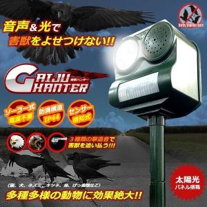 害獣ハンター 音声 光 カラス 鳥 ソーラー式 防滴 ソーラー式 太陽光パネル