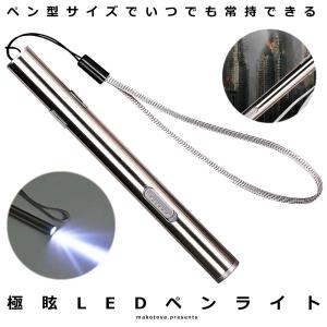 極眩 LED ペン ライト 小型 懐中電灯 USB 充電式 災害 防災 緊急 ツール キャンプ アウトドア 釣り USB アウトドア EGLARE｜ishino7