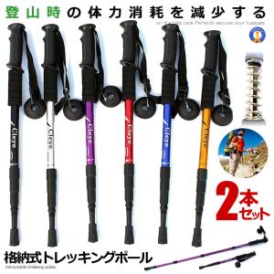 トレッキングポール 2本セット 調節可能 格納式 登山杖 アンチショック アルミ製 軽量 クライミング 歩行 散歩 登山 キャンプ アウトドア 山登り 2-TRKIN