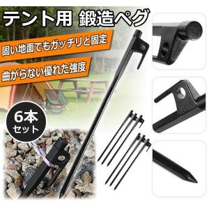 鍛造ペグ 焼入れ  テント ペグ キャンプ 設営用具 黒カチオン 6本 6-TANPEG
