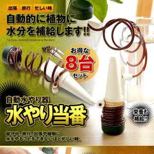 自動水やり器 8個セット 観葉植物 自動給水器...の詳細画像1