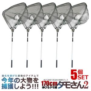 5セット 釣り用 伸縮式 タモさん タモ網 玉網 すくい網 コンパクト ワンタッチ