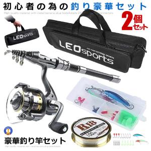 釣りセット 釣り竿セット 初心者 海釣りセット 軽量 収納バッグ付き Amazon.co.jp: 釣りセット 初心者 2本の釣り竿セット