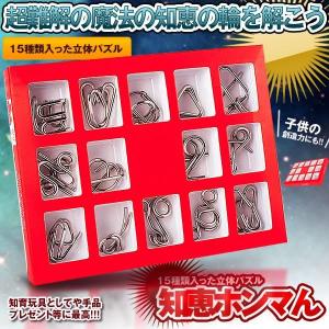 知恵の輪 スチールパズル 知的立体 遊び 玩具 知育 ゲーム