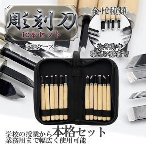 彫刻刀 12本 セット 収納ケース 木彫り MA-271