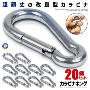 カラビナ 10個 セット ステンレス スプリングフック キーホルダー 多