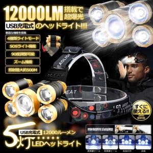 【2台セット】USB充電式 12000LEDヘッドライト 4つのモード 照明 ズーム機能 90度調整 500M IPX4防水 2-12LMHDL