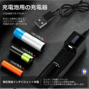 リチウムイオン 電池 充電器 1本 急速充電 ...の詳細画像2