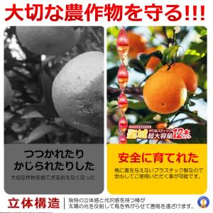 鳥よけ棒 12本セット 鳩よけ カラスよけ か...の詳細画像3