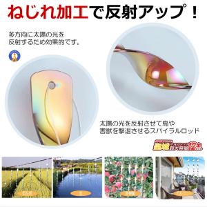 鳥よけ棒 12本セット 鳩よけ カラスよけ か...の詳細画像5