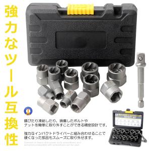 ナットツイスター 14点セット ナット抽出ソケ...の詳細画像4