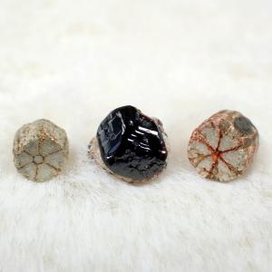 スペサルタイト ガーネット 桜石 和田峠 亀岡 国産 セット2 Spessartite Garnet Cerasite 写真現物 動画あり｜ishinomise