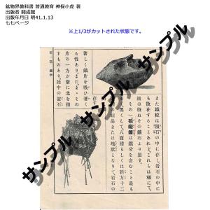 明治時代の鉱物教科書 鉱物界教科書 神保小虎 著 バラ販売 古書 アンティーク  写真現物