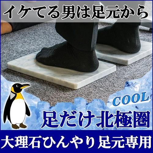 天然石でひんやり！足元専用タイプ【送料無料】 デスクの下にピッタリ快適【足だけ北極圏】 おまかせ即納...