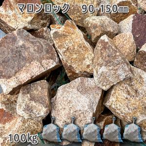 浅間石 100〜200mm 1袋（約15kg） ガーデンロック ガーデニング