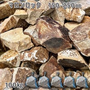 岐阜石 200ー300mm 1袋2-3個 5袋セット 計約100kg ガーデニング