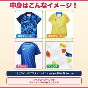 卓球 福袋 2026 おまかせ ウェアセット ...の詳細画像1