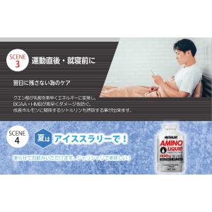 【レビュー投稿でおまけ1袋付き】メダリストアミ...の詳細画像5