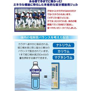 送料無料 ポイント10倍 メダリスト 塩ジェル...の詳細画像2