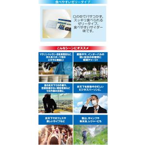 送料無料 ポイント10倍 メダリスト 塩ジェル...の詳細画像3