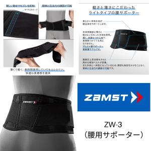 山田式 腰椎コルセット W加圧ベルト Lサイズ ( 1コ入 )/ : 爽快