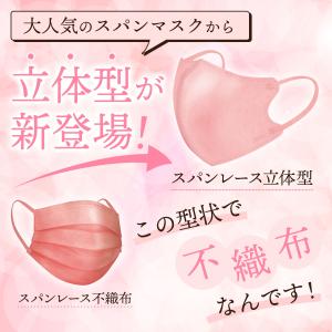 メーカー公式 30枚入 立体型スパンレース不織...の詳細画像3