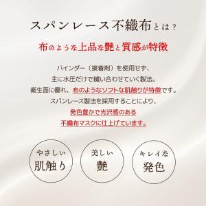 メーカー公式 30枚入 立体型スパンレース不織...の詳細画像5