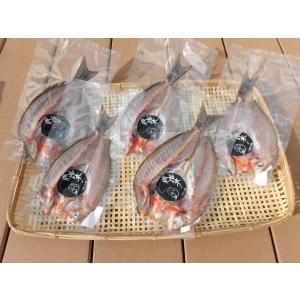 【一本釣りイサキ干物】即血抜きで臭み極少｜旨味凝縮｜冷凍便送料無料（沖縄・東北・北海道除く）Mサイズ５枚セット